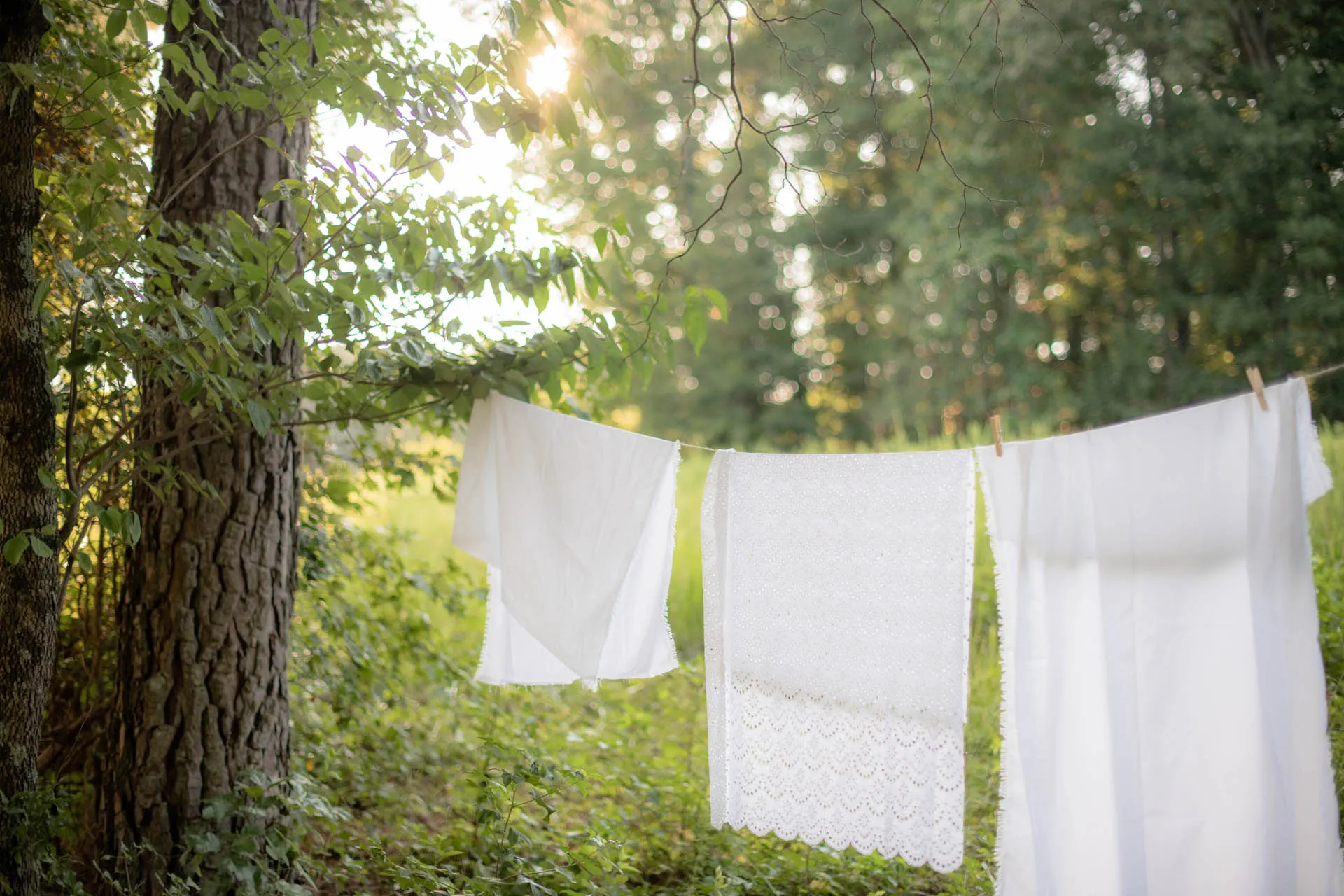 Why Eco-Friendly Laundromats Are the Future of Clean